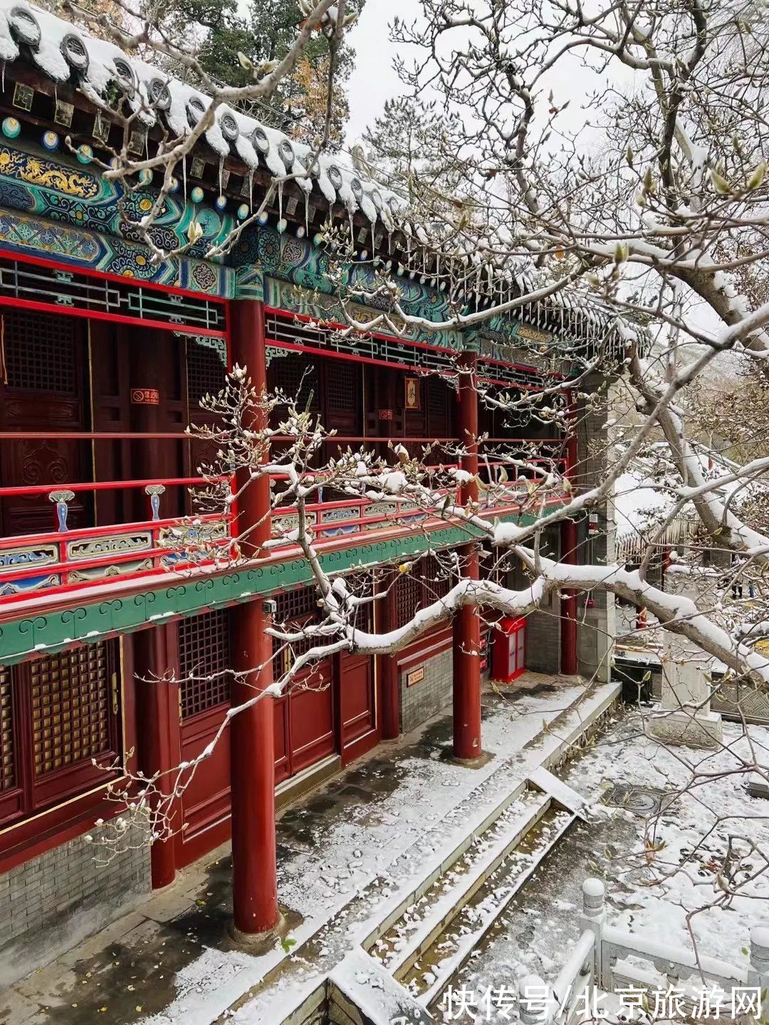 第一场雪|门城一夜雪，万山披银装！