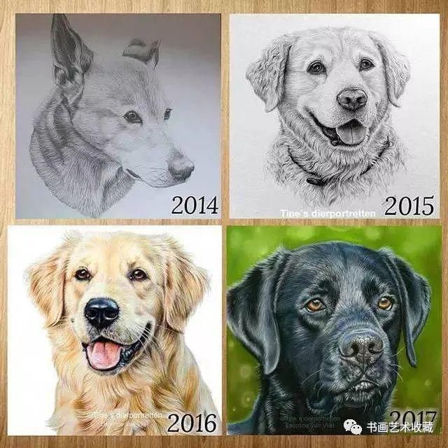  美女|一匹马画了16年！美女学渣逆袭成功，坚持下来很酷！