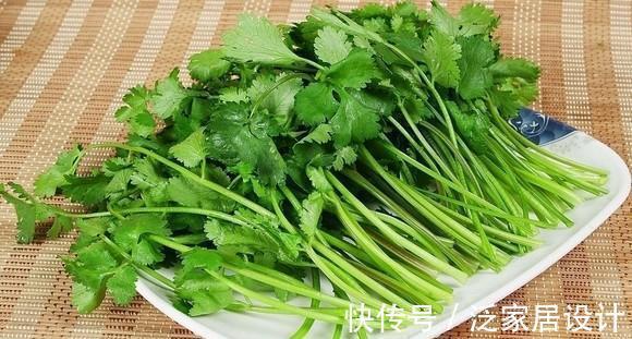 甲之蜜糖|香菜好吃难保存,菜农教你几招,比直接放冰箱还管用