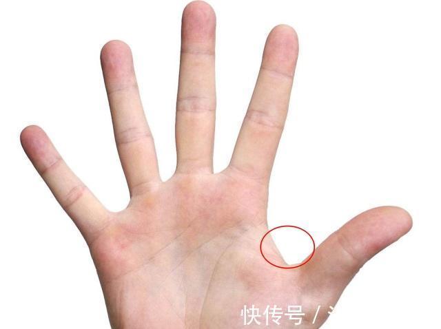 血管|血管好不好，伸出手一看就知道，没有4个表现，恭喜你血管很好！