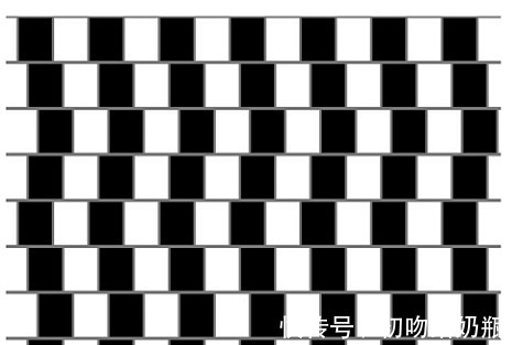 天赋|心理学 凭直觉, 下面4张图你觉得哪张在动 看你到底有什么天赋!