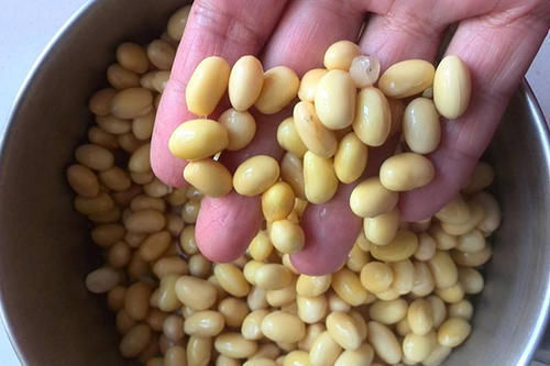 子宫|长了子宫肌瘤,饮食要忌嘴吗?哪些食物不能多吃,否则会变严重?