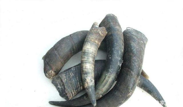 劣等|她号称“妖女”,死后葬在这里,出土了三件劣等文物!