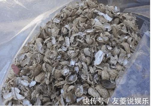 土壤|4种垃圾不会分类别担心，埋在花盆底，叶子绿得直滴油！