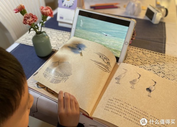 王羲之$成长的书柜 篇三十二:【双11童书值得买】精选10本/套小学生课外书单(拒绝云评)