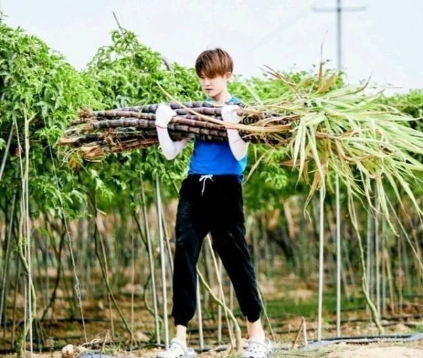 任嘉伦|对任嘉伦有了新的认识喜欢一个有趣的偶像是什么体验,爱不释手