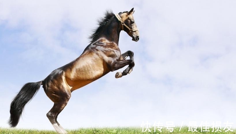 横财|未来30天鸿运当头，能够日进斗金的4大生肖