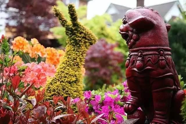  绝美|7旬夫妻用27年建绝美花园，全球花友慕名来“探花”