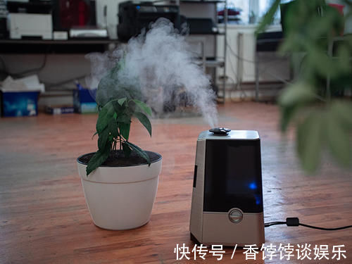 生电 “蒲公英”萌娃走红,耍完滑梯头发根根冲天,网友:这发型太秀了