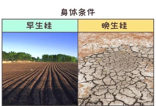 现实|早生孩子和晚生孩子,区别在哪里?看看就知道,心酸和现实,