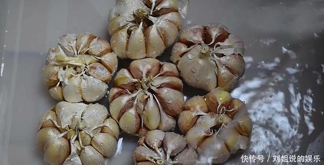 纸箱|大蒜发芽不要再扔了,教你一招,一冬天吃新鲜蒜黄,实用