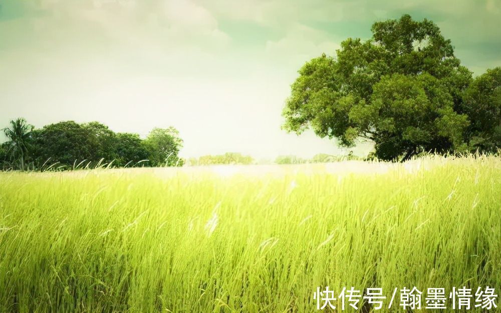 蔽月山房$15首哲理诗词,首首经典,一不小心就成为千古名句