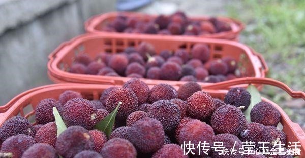 槟榔|这6种水果再爱吃也要管住嘴,尤其是最后一个,看看你中招了吗