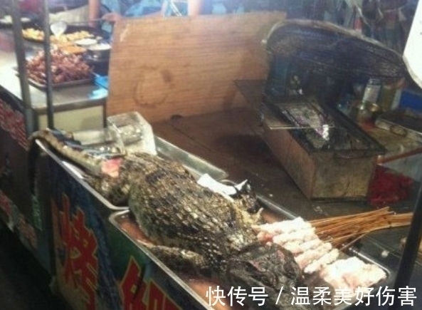 |搞笑GIF趣图:当你有一包泡面,但没有碗的时候,你会怎么做?