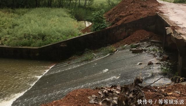 溶氧量|没有水草就不能钓鱼了吗根据这4点来找鱼，下竿之处即咬钩