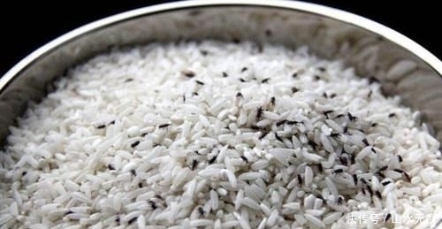 米放久了会有虫子 那么问题来了 那些虫子都是哪里来的呢 快资讯