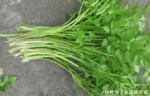 黄医师|女性过了30岁,3种食物要多吃,消食开胃,越来越健康