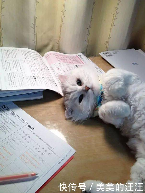 看什么书看书,难道我还没有书好看吗