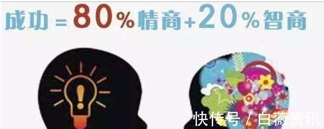 孩子|白岩松:情商比智商更为重要,常对孩子说这4句话,娃情商不会低
