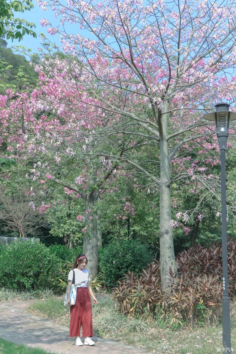 村里|古村里的顺德味