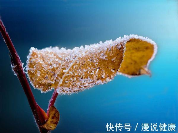 立冬|立冬温补，“藏”字当先！提醒：立冬做好3件事，来年春天不生病