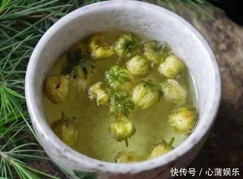 一种叶子堪称“口臭天敌”,泡水喝,火气降了,从此无口臭