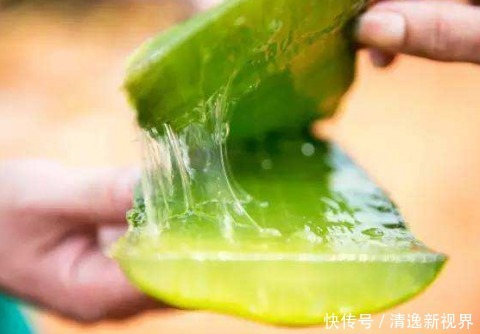 夏季|夏季来临,女生多这些食物,预防紫外线,防晒效果堪比防晒霜