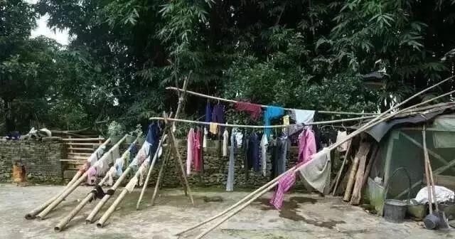 网红|老汉21年生下15个孩子,75岁成网红,如今一家人生活怎么样