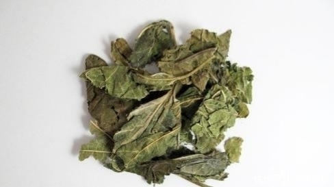 桑叶|请注意,如果家有桑树,“此时”请采收2种药材,错过了很可惜