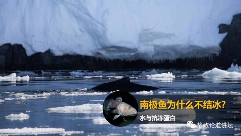 对科学家而言，水为什么被称为自然界最复杂的物质之一