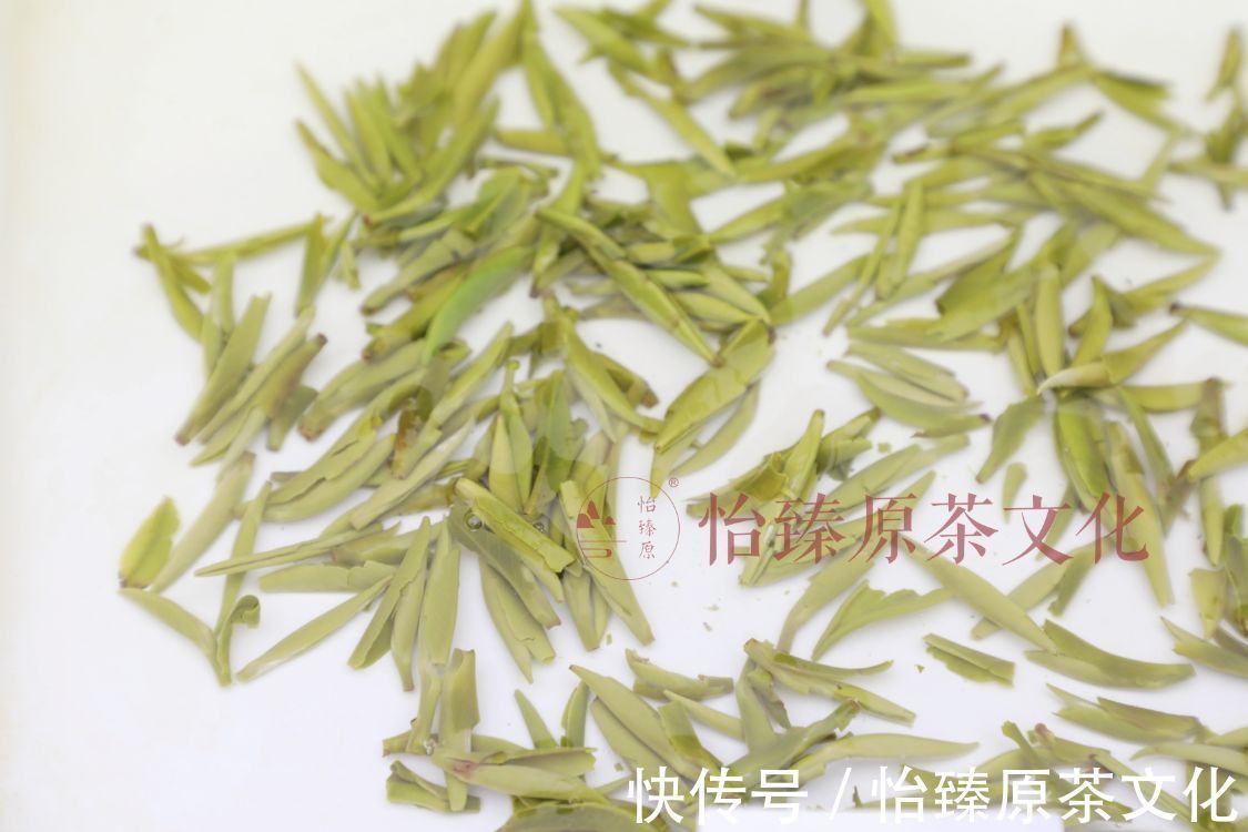 评语|绿茶科普：喝茶时常用到的评茶术语，爱茶人必备知识