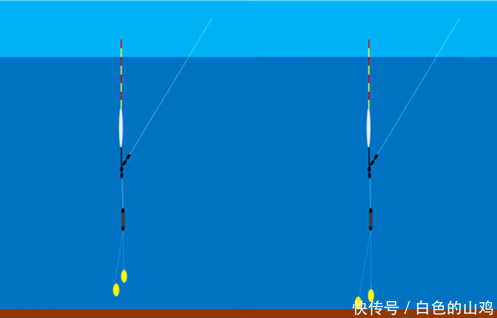 钓目|调目与钓目之间有什么关系？弄懂了这些要点，调漂新手变老手！