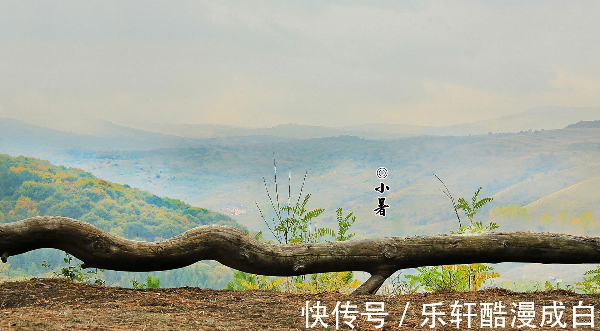 头伏|“小暑大暑,上蒸下煮”,今年是小暑热还是大暑热终于有答案了