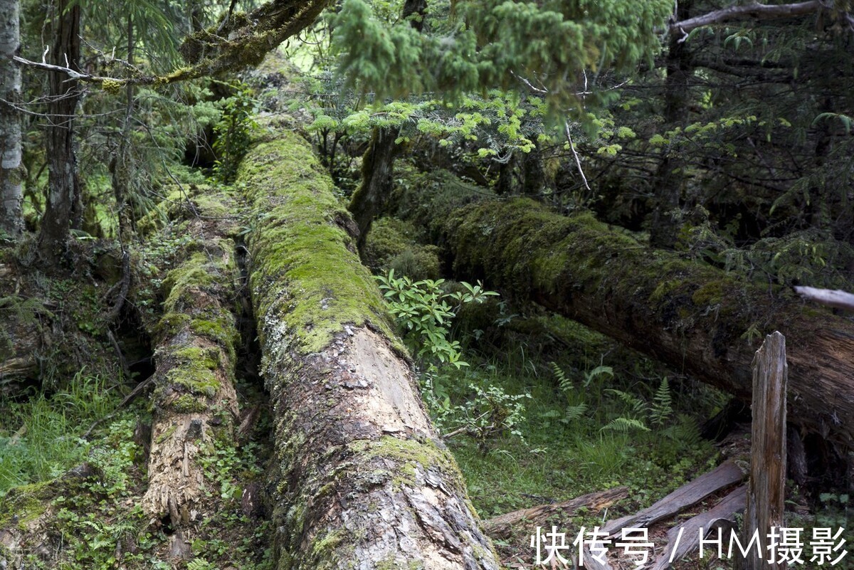 老君山|推荐7个只许中国人进，不对外国人开发的景区，看看你去过几个？