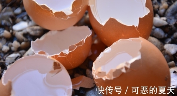 家庭养花:该怎么合理“混搭”蛋壳、白醋?