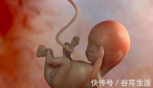 肾盂分离|通过产检B超单的“肾盂分离”,可判断胎儿性别还真有一定道理