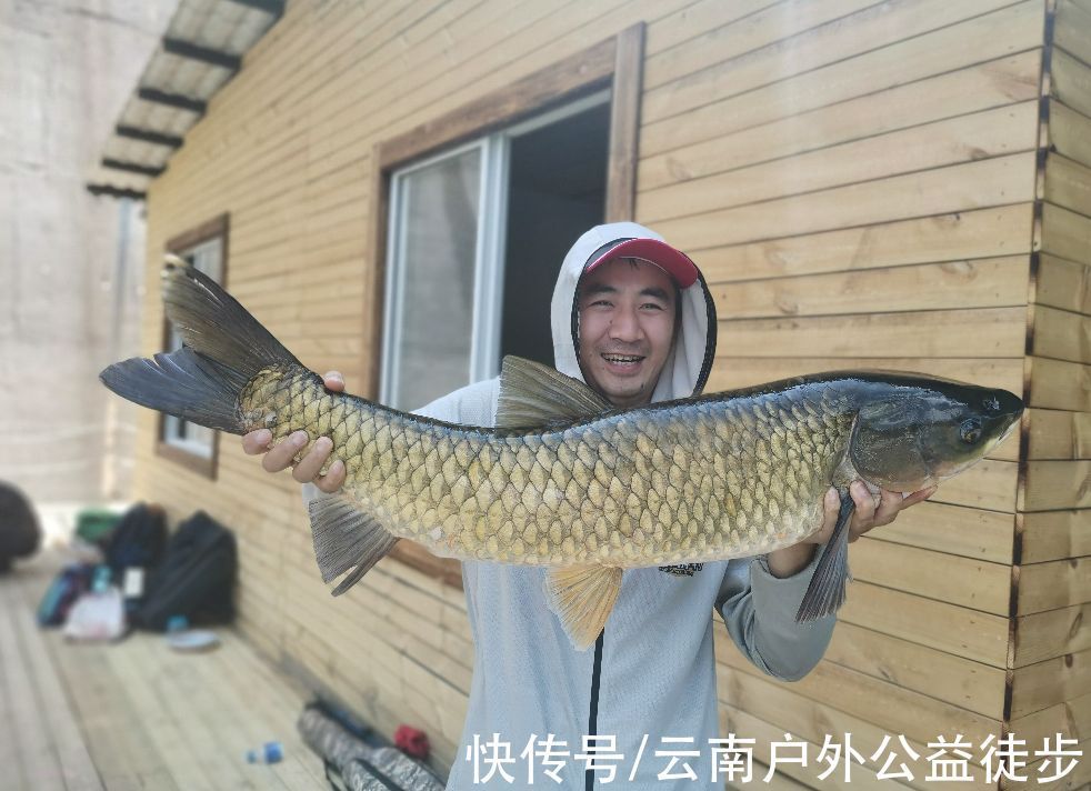 柴石滩水库体验新钓棚,三人钓一窝,钓获20斤米级草鱼,太过瘾了