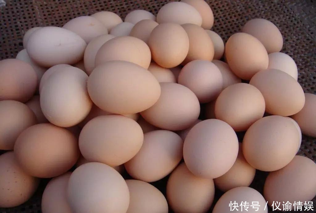 考古学家|古墓里的鸡蛋为何连考古学家都不敢碰, 是因为有剧毒吗