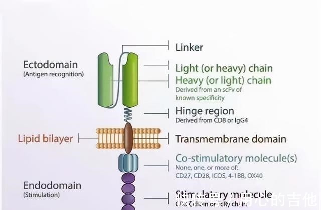 我不是药神|天价药缔造者诺华靠“抗癌神药”一战成名,年收入500亿