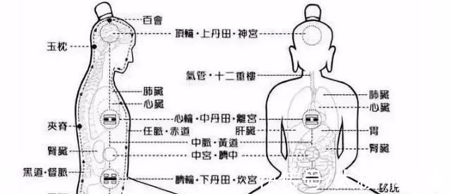 丹田|太极之根在脚跟还是在丹田？你弄清楚了吗？