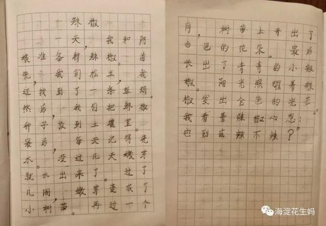 反面|我家两娃7-8岁作文稿及点评，包括反面案例