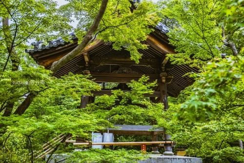 世界文化遗产之金阁寺 日本文化中 白娘子变成恶魔报复许仙 快资讯