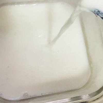 鸡蛋+牛奶，夏日小甜心——蜜豆双皮奶来咯！