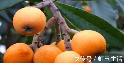 胡萝卜素|对身体很好的3种食物,补益气血、滋养肌肤,好吃也不贵!