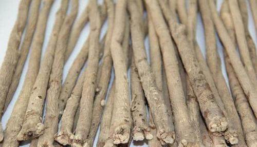 愈合者|黄芪跟它是“一家子”,坚持泡水喝,养肝强肾,血栓也悄悄走开