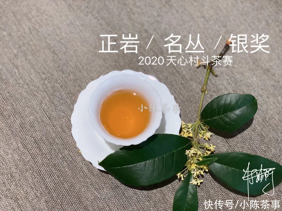  岩茶|一口气喝到正岩茶村的名丛金、银、优质获奖茶，是什么样的体验？