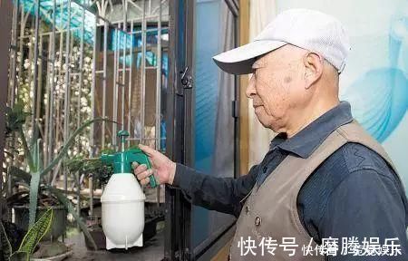 老花匠|养花别只会傻傻浇水，老花匠教你1诀窍，让家里盆栽油光发亮