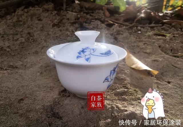  泡茶的时|意想不到，85℃温水泡白茶影响这么大，老茶农：现在明白不晚