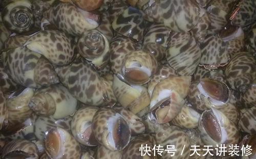 花螺不会做?多加这1步,咸香好吃,无腥味