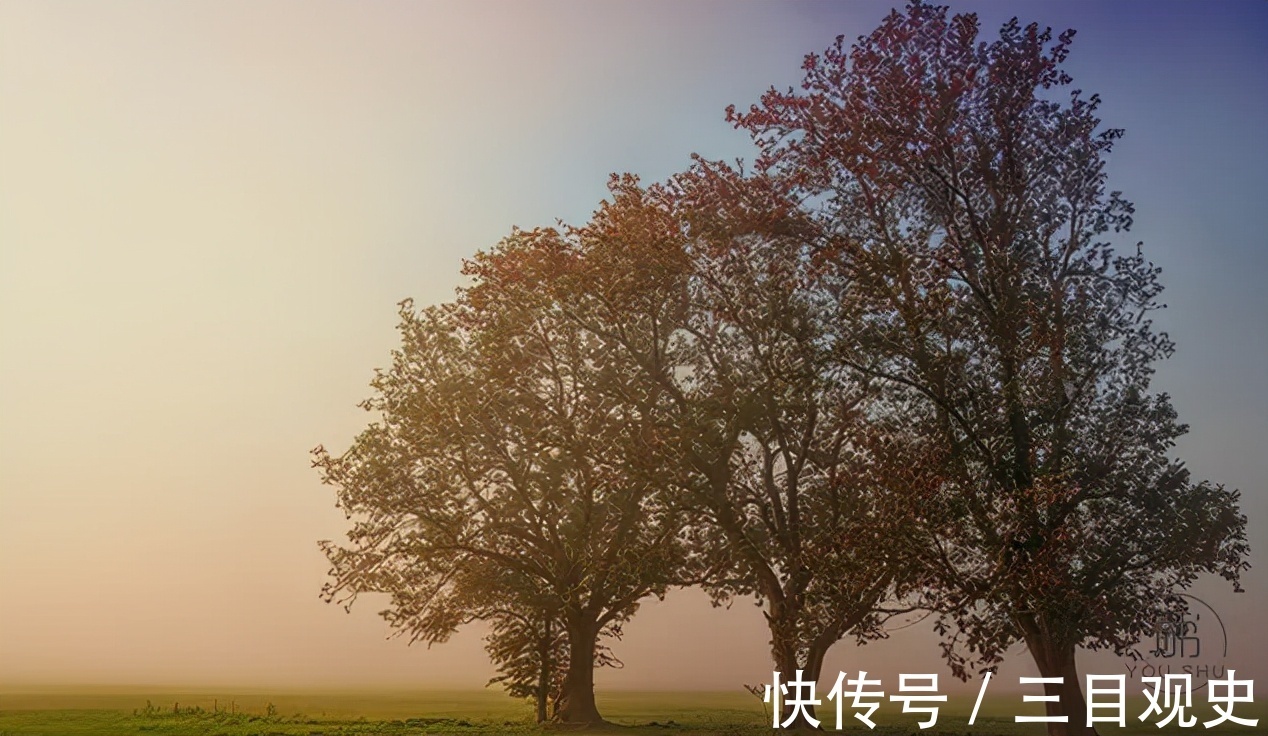 辛酸故事&吴承恩的倔,曹雪芹的痴,四大名著外的辛酸故事